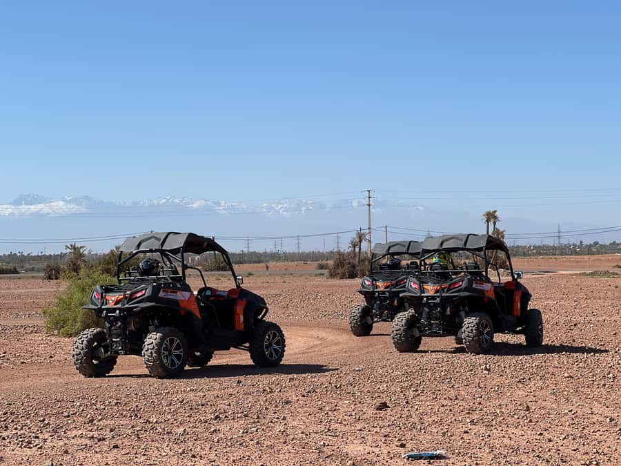 Marrakech Buggy Palmerie and Desert - Guides like Ayoub, Ibrahim, and Marwan: why the human touch matters