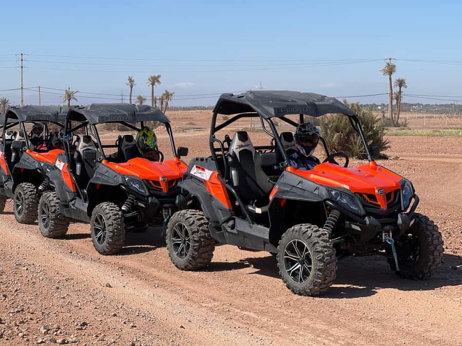 Marrakech Buggy Palmerie and Desert - Price and value: why $44 can feel like a bargain here