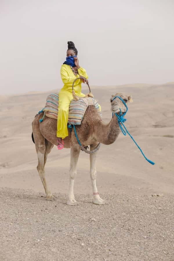 Marrakech: Camel & Quad Bike Tour with Sunset, Dinner & Show - Key moments worth showing up for