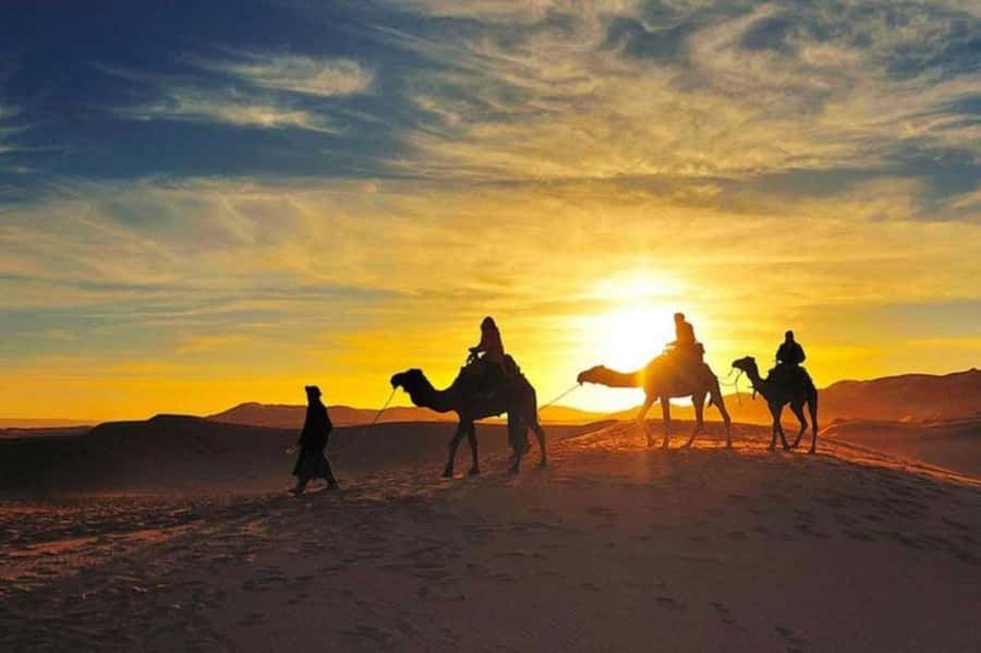 Marrakech: Camel & Quad Bike Tour with Sunset, Dinner & Show - From the Medina to Agafay: What the ride out feels like