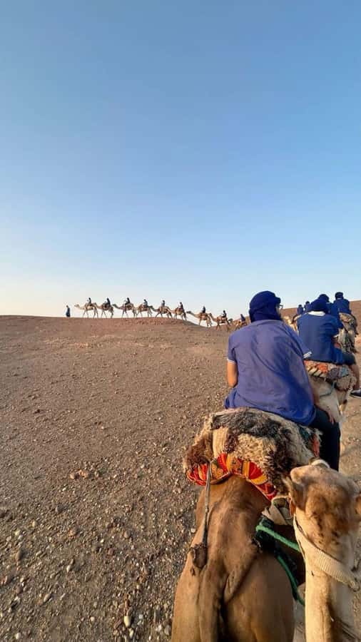 Marrakech: Camel & Quad Bike Tour with Sunset, Dinner & Show - Value for $22: Why this package feels like a steal