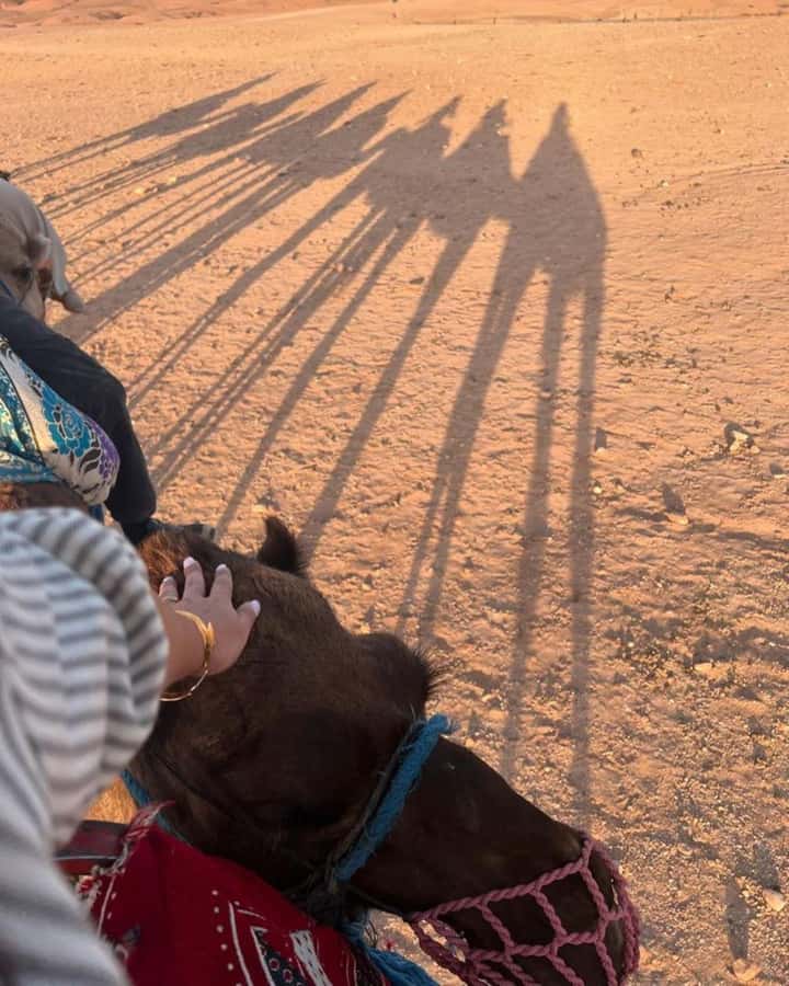 Marrakech: Camel & Quad Bike Tour with Sunset, Dinner & Show - Argan oil cooperative stop: Learn the craft before the sand