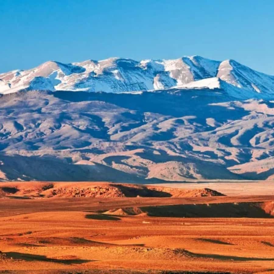 Marrakech: Camel Ride & Sunset Dinner with Fire Show - Logistics you can plan around without stress