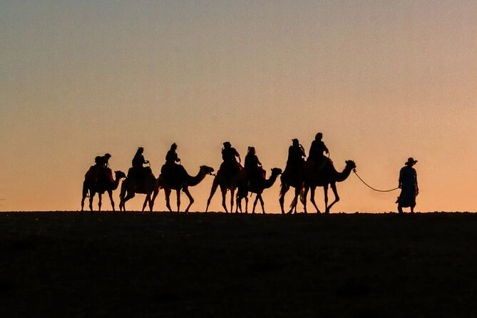 Marrakech: Camels & Quads on Sunset and Luxury Dinner with Show - Key highlights to know before you go