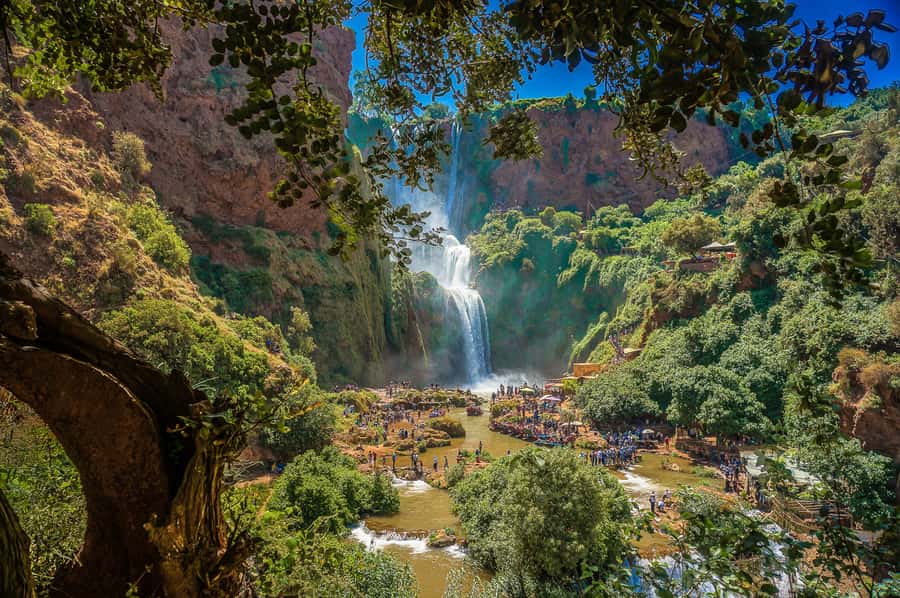 Marrakech: Day Tour to Ouzoud Waterfalls with Boat Trip - The guide + driver factor: why service quality shows up repeatedly