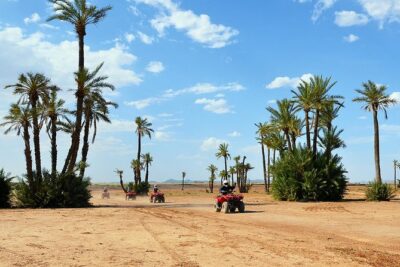Marrakech Desert and Palm Grove Quad Bike Tour - Key points before you go