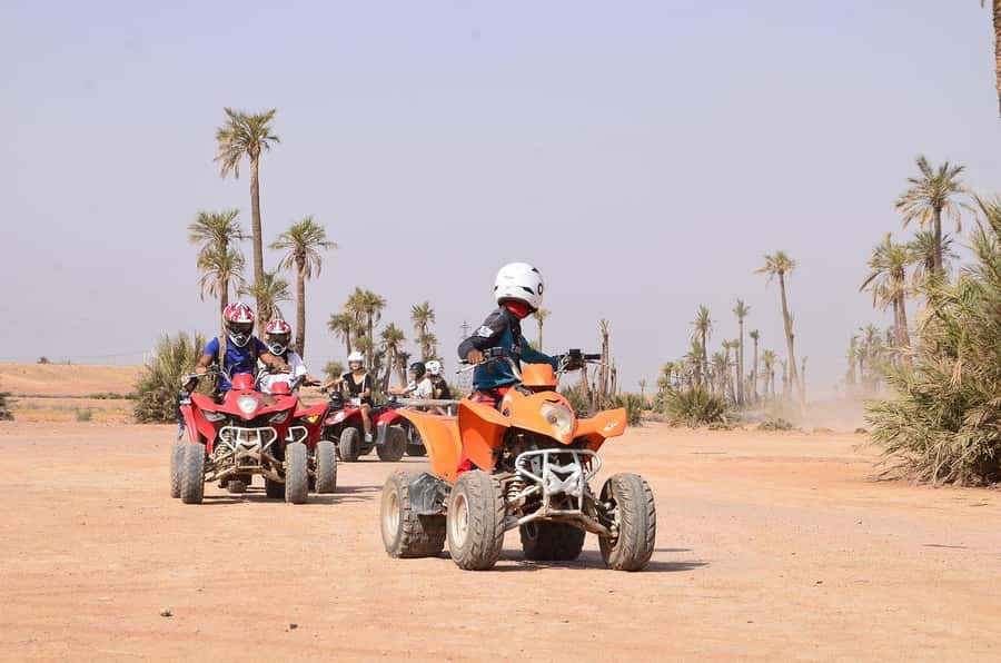Marrakech: Desert and Palm Grove Sunset Quad Tour with Tea - Price and value: is $34 a good deal in Marrakech?