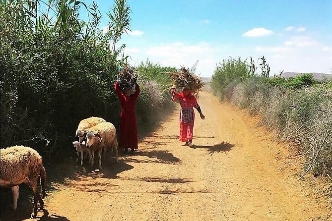 Marrakech Desert Buggy Tour Including Berber Tea Break and transfer - Stop 1: Dunes and the Agafay oasis welcome
