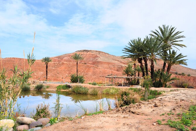 Marrakech Desert Buggy Tour Including Berber Tea Break and transfer - The main riding window: Agafay hills, rocky dirt, and volcanic-feeling terrain