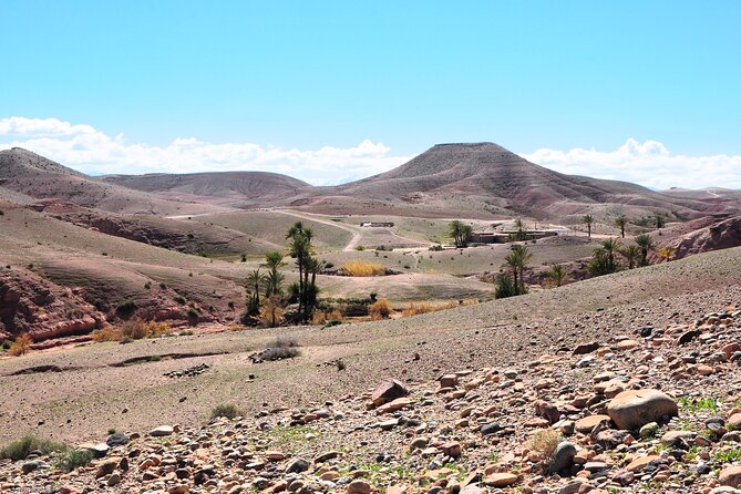 Marrakech Desert Buggy Tour Including Berber Tea Break and transfer - Berber tea break: hospitality, pancakes, and the reality check on a short visit