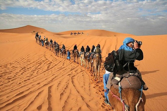 Marrakech Desert: Camel Ride, Quad Biking & Dinner Show Options - Marrakech to Agafay: Why This Desert Tour Works