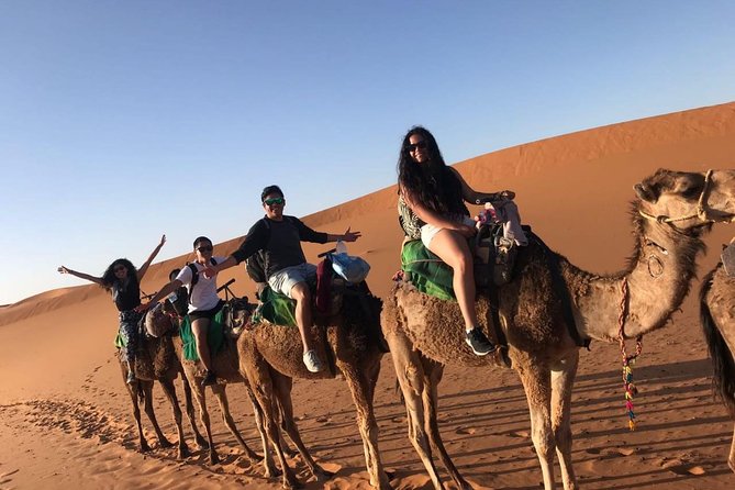 Marrakech Desert: Camel Ride, Quad Biking & Dinner Show Options - Dinner and Live Berber Music: What the Evening Is Really Like