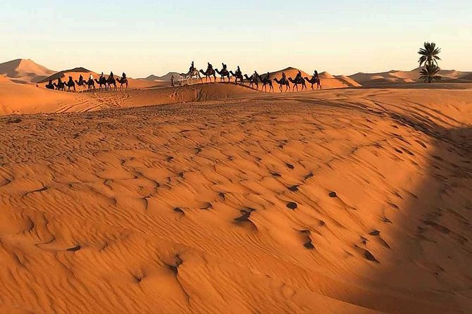 Marrakech Desert: Camel Ride, Quad Biking & Dinner Show Options - About the Multi-Day Desert Mention: Confirm Your Exact Option