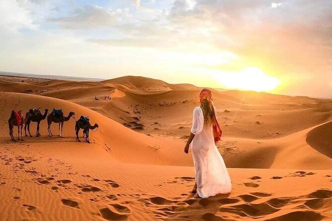 Marrakech Desert: Camel Ride, Quad Biking & Dinner Show Options - Value Check: Is $52.14 a Good Deal?