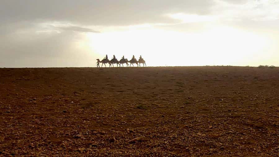 Marrakech: Desert Quad Bike Tour with Tea & Optional Dinner - The quad bike route: rocky desert fun, photo stops, and sunset caution