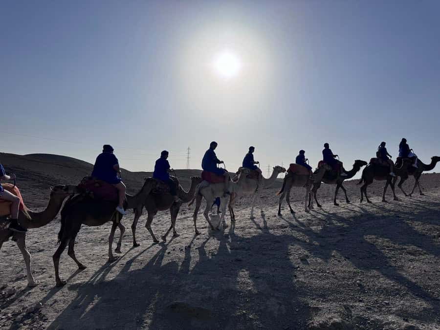 Marrakech: Desert Quad Bike Tour with Tea & Optional Dinner - Optional dinner in the desert: tajine, music, and a fire show under the stars