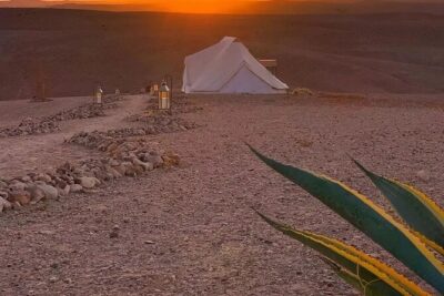 Marrakech Desert Tour & Sunset Camel Ride with Dinner Show - Berber-style dinner under the stars: the meal is part of the show