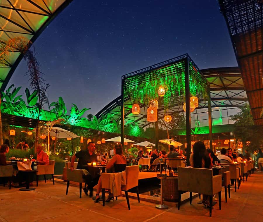 Marrakech : Dinner Show at Nouba Restaurant - Nouba Marrakech: what this dinner show is really like
