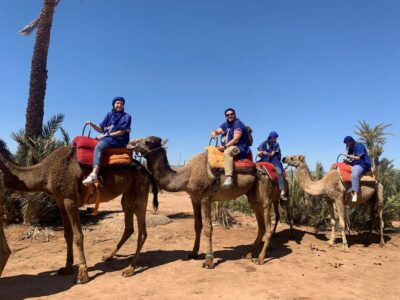 Marrakech: Guided Quad Bike and Camel Ride Tour with Tea - Getting to Palmeraie: What the 30-Min Van Ride Feels Like