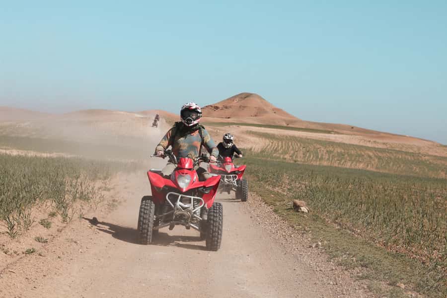 Marrakech: Half-Day Desert Quad Tour with Camel Ride - Who This Tour Is Best For (and Who Should Skip It)