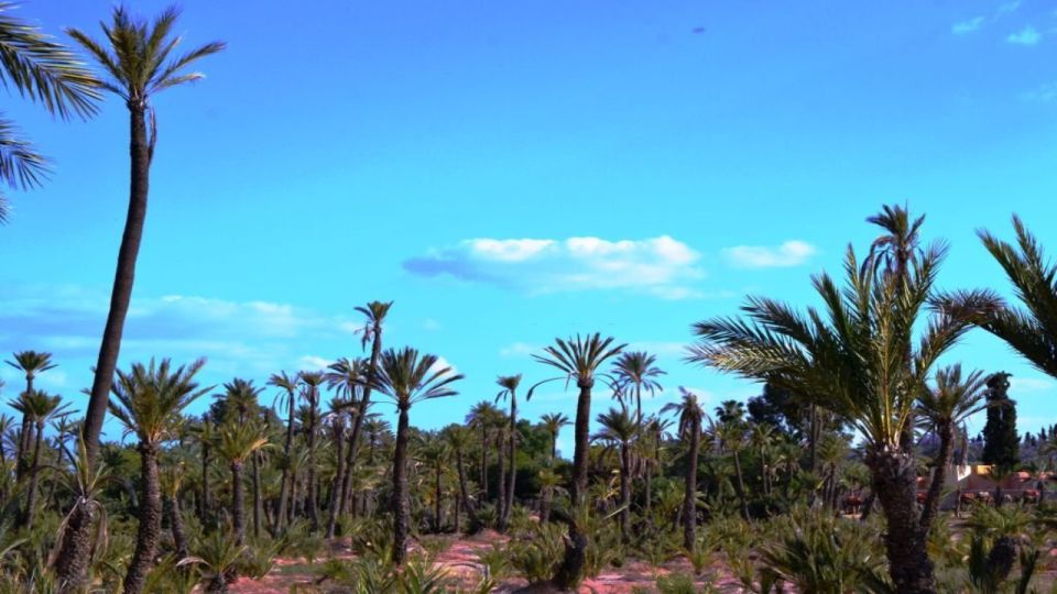 Marrakech: Majorelle Garden Entry Tickets Online - Key takeaways before you go