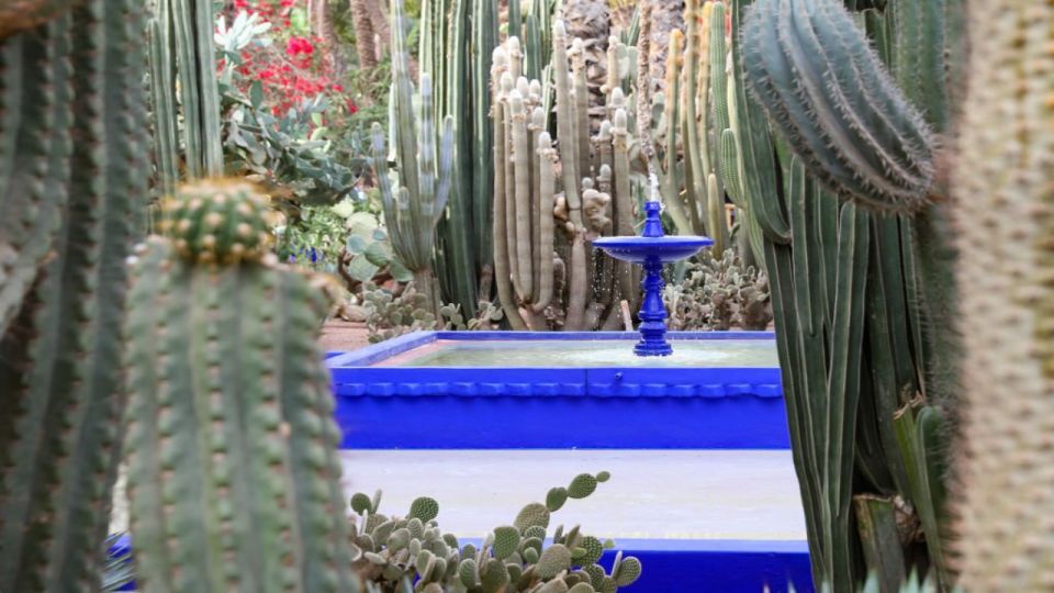 Marrakech: Majorelle Garden Entry Tickets Online - Majorelle Gardens entry: what you’re really paying for at $46