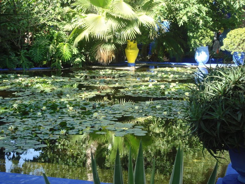 Marrakech: Majorelle Garden Entry Tickets Online - Fountains and water features: where the garden slows down
