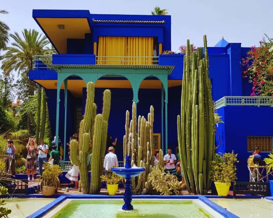 Marrakech: Majorelle & Menara Garden Tour and Carriage Ride - Jardin Majorelle: cobalt blue, orchids, and the Paul Sinoir villa