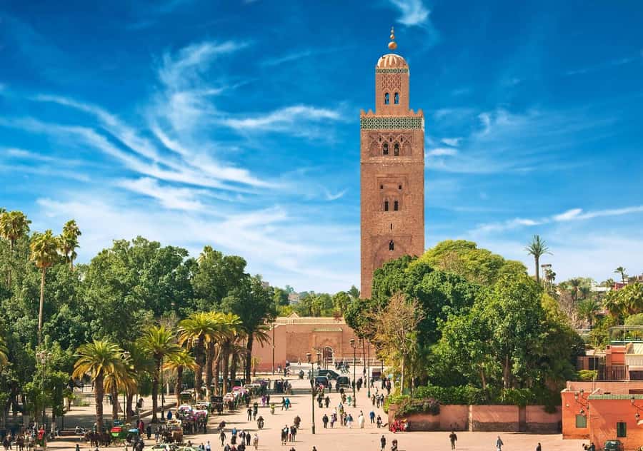 Marrakech: Majorelle & Menara Garden Tour and Carriage Ride - Timing, pickup, and how to handle Marrakech logistics without stress