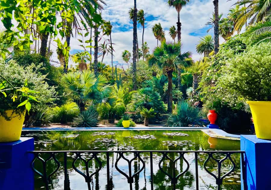 Marrakech: Majorelle & Menara Garden Tour and Carriage Ride - Menara Gardens and the Atlas panorama you came for