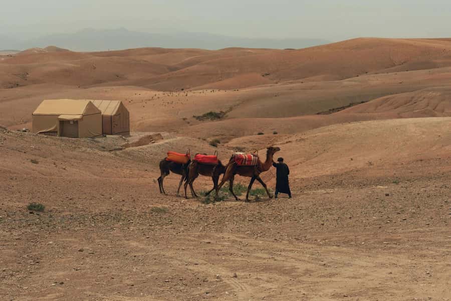 Marrakech/Ouarzazate: 2-Day Desert with Camel, 4x4 & Meals - Two Days From Marrakech or Ouarzazate: What This Safari Really Feels Like