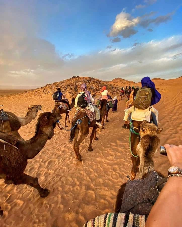 Marrakech/Ouarzazate: 2-Day Desert with Camel, 4x4 & Meals - Draa Valley and Agdez: Date Palms, Kasbahs, and Stops That Break Up the Drive
