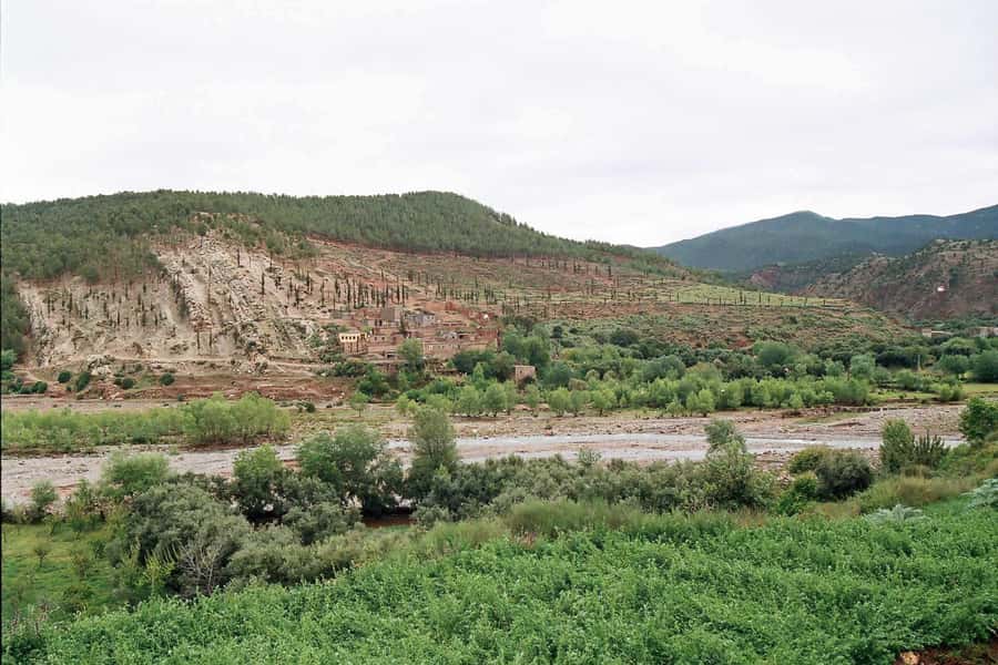 Marrakech: Ourika Valley and Atlas Mountains Day Trip - Should You Book the Marrakech to Ourika Valley Day Trip?
