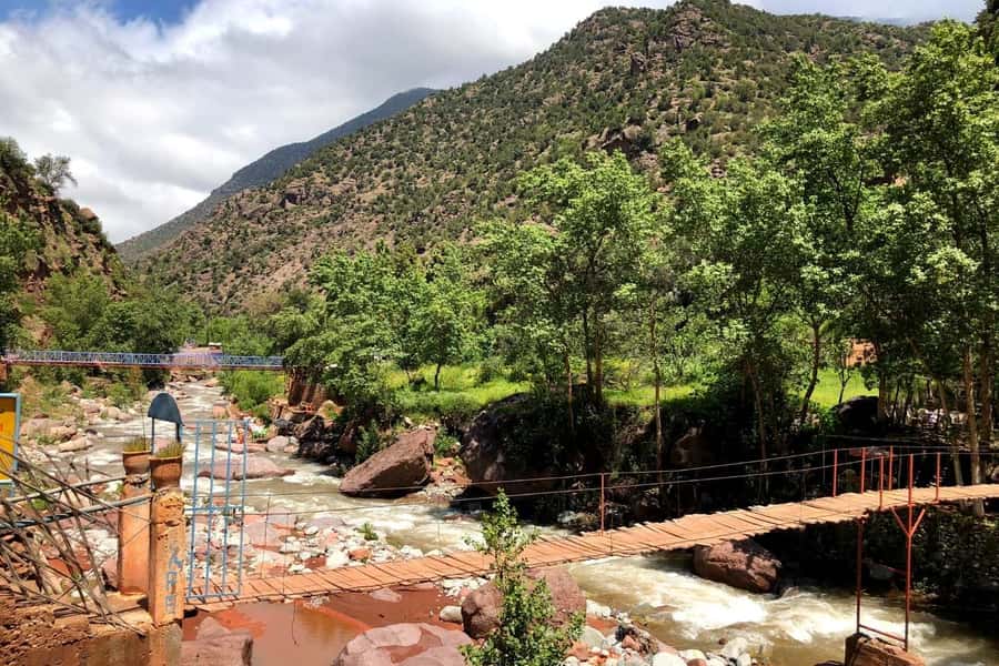 Marrakech: Ourika Valley and Atlas Mountains Day Trip - Guides and Drivers: Where This Trip Wins