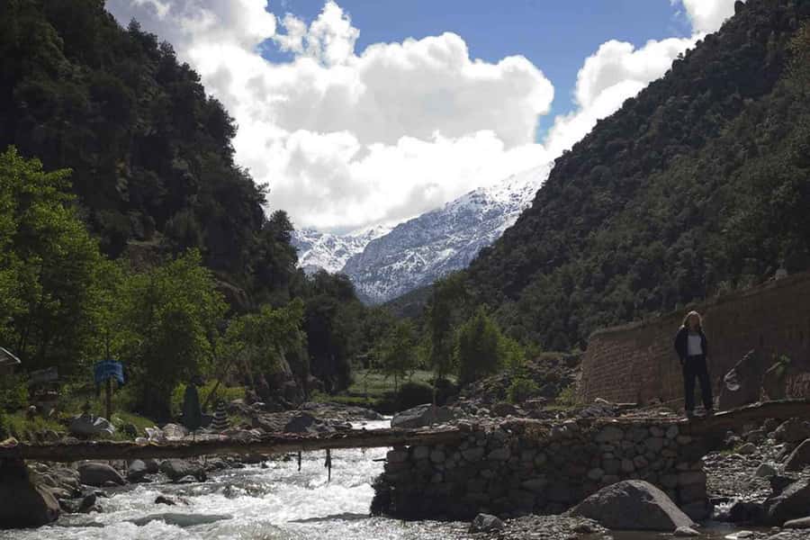 Marrakech: Ourika Valley and Atlas Mountains Day Trip - Price and Value: Why It Feels So Cheap for a Full Day