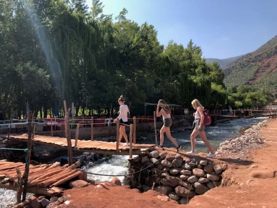 Marrakech: Ourika Valley & Atlas Mountains Half-Day Trip - The Optional 30-Minute Walk: Easy Time in the Mountains