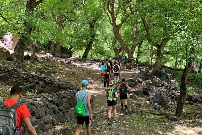 Marrakech: Ourika Valley, Atlas Mountains, Waterfalls & Lunch - Who this tour fits (and who should choose something else)