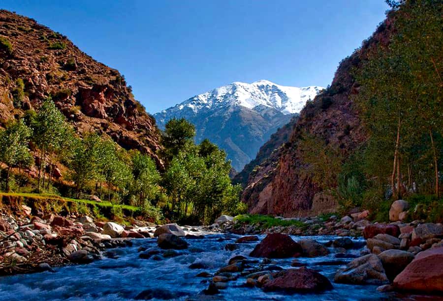 Marrakech: ourika valley Atlas Mountains & Waterfalls Trip - First valley stop: tea, photos, and a quick taste of mountain life