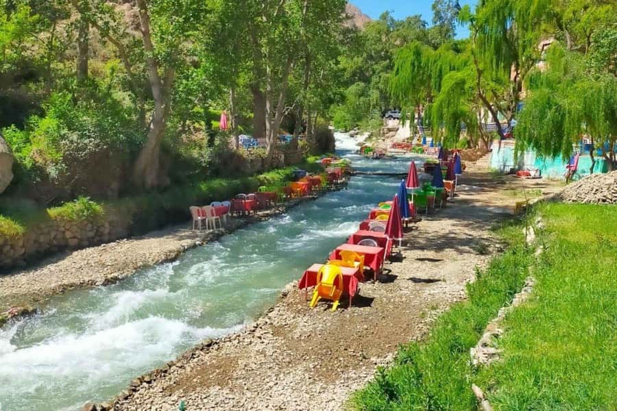 Marrakech: ourika valley Atlas Mountains & Waterfalls Trip - Women-run argan cooperative: seeing the value chain up close