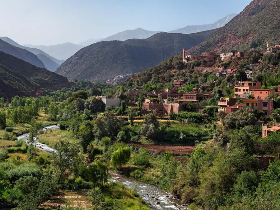 Marrakech: Ourika Valley Waterfalls & Atlas Mountains Trip - Argan oil cooperative: what you learn and how to buy smart