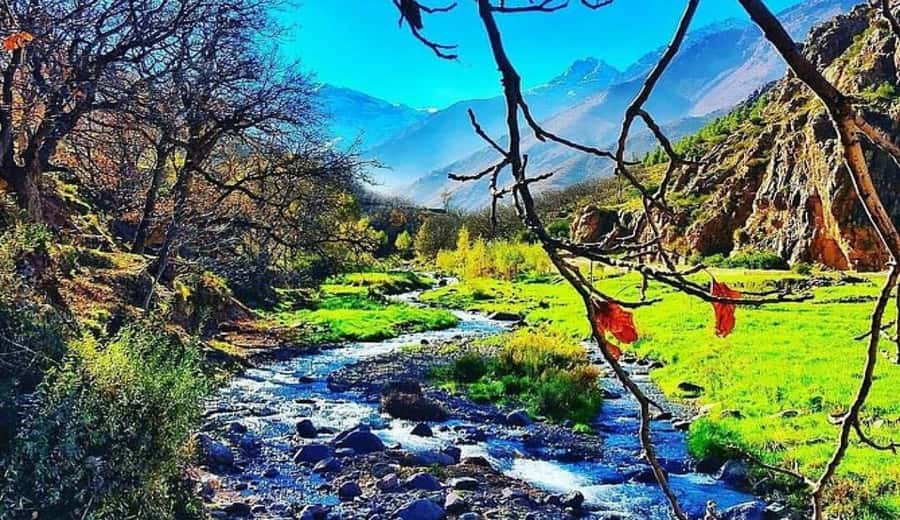 Marrakech: Ourika Valley waterfalls with guide& Berber lunch - Guide and driver quality: why this tour feels organized
