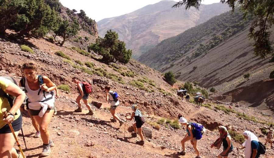 Marrakech: Ourika Valley waterfalls with guide& Berber lunch - What to bring so the day feels easy