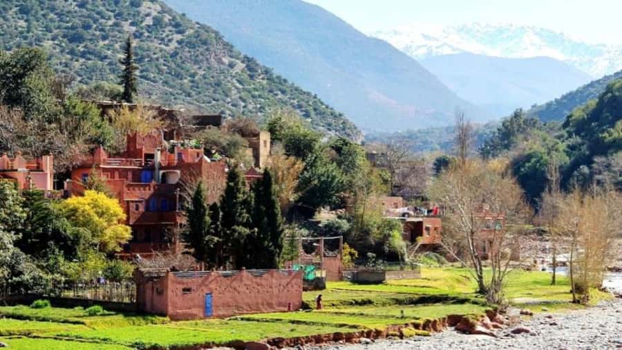 Marrakech: Ourika Valley waterfalls with guide& Berber lunch - Should you book this trip?