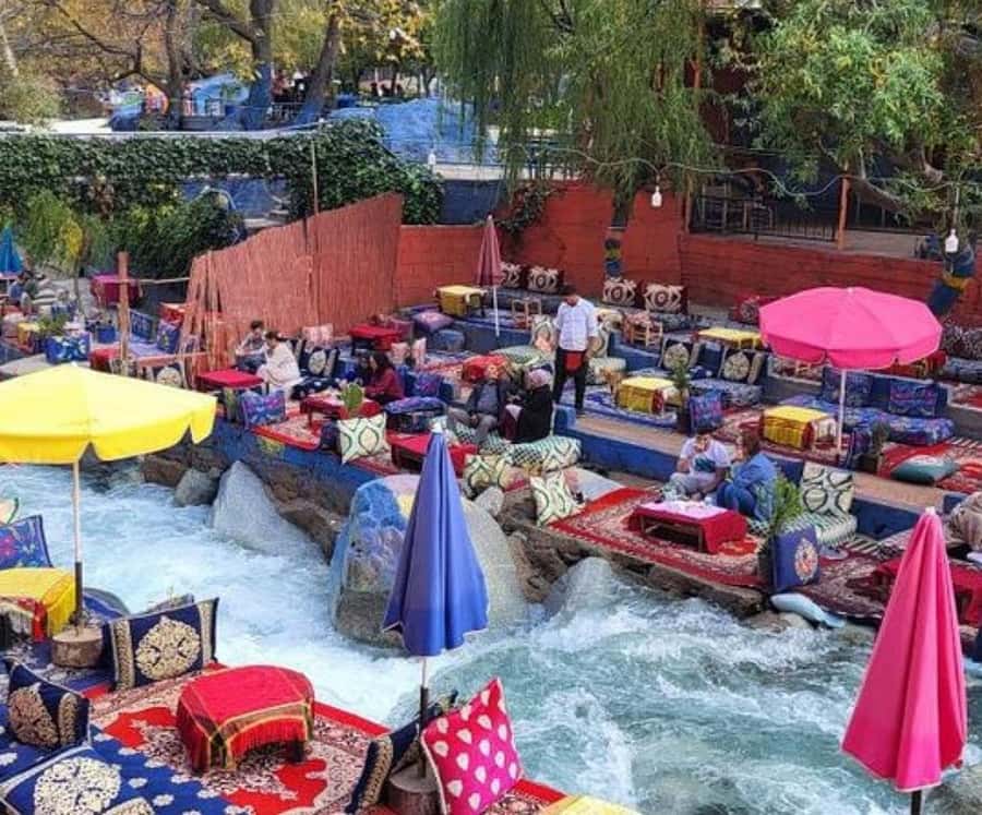 Marrakech: Ourika Valley,Waterfalls, Atlas Luxury Day trip - An argan oil cooperative visit: useful learning, plus the sales reality
