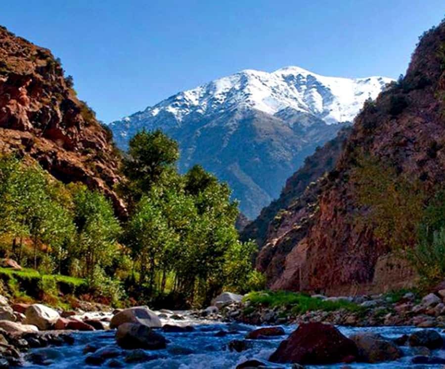 Marrakech: Ourika Valley,Waterfalls, Atlas Luxury Day trip - Setti Fatma: the altitude feel and the seven-waterfall hike