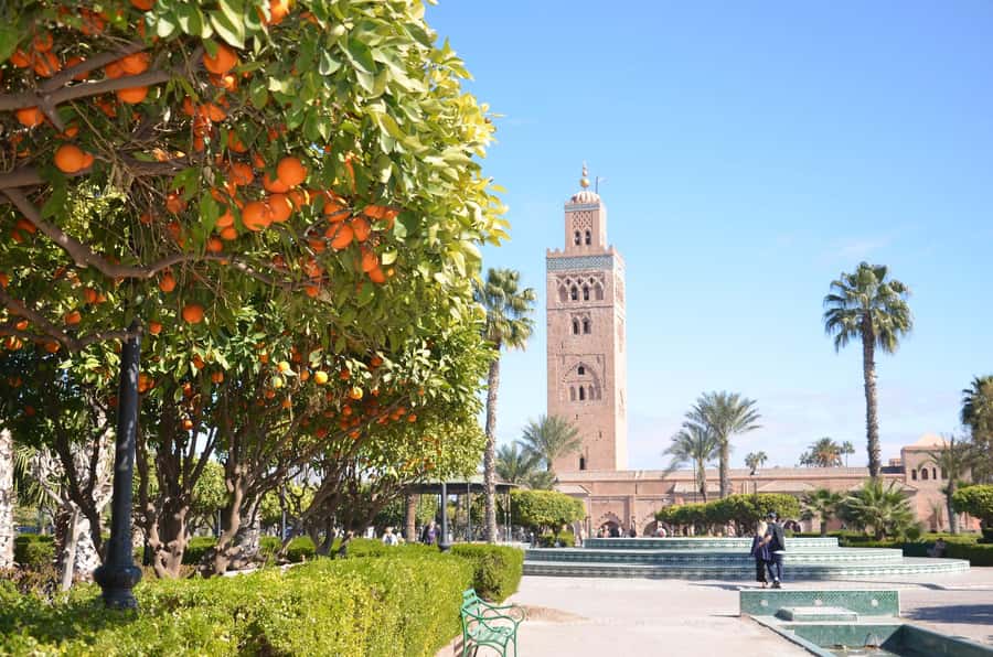 Marrakech: Palace, Museum, Madrasa & Medina Highlights Tour - Back to Jemaa el-Fna: Leaving With a Map in Your Head