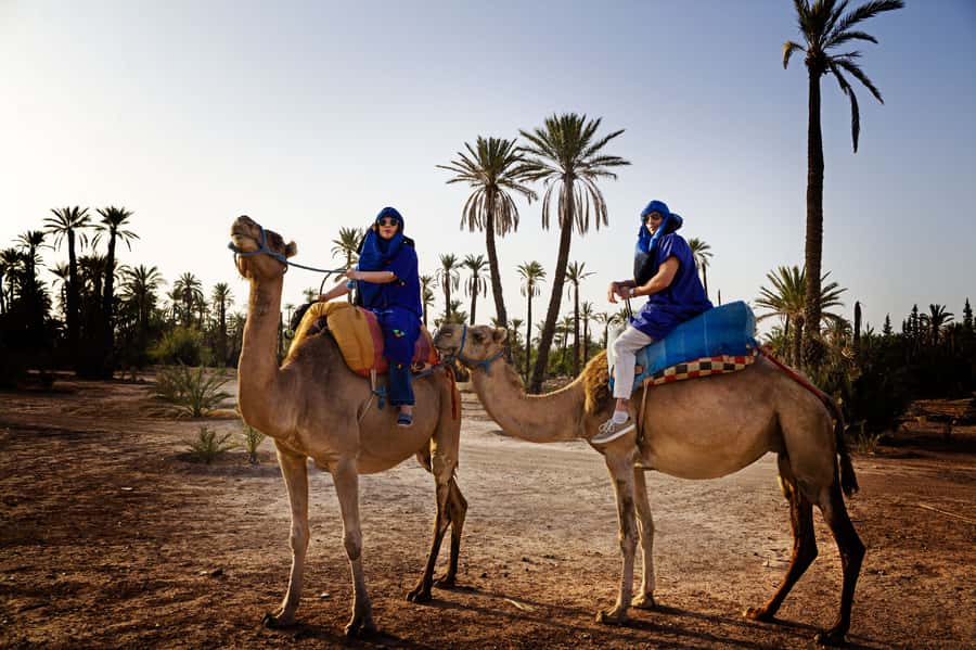 Marrakech Palmeraie: Camel Ride at Sunset - The Palmeraie sunset vibe: short trip, big mood