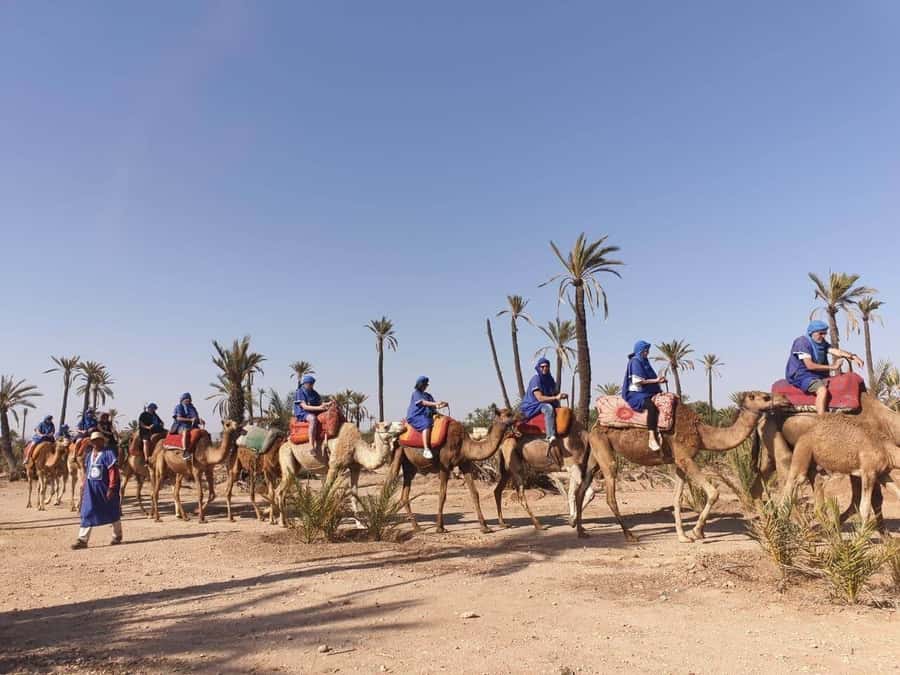 Marrakech Palmeraie: Camel Ride at Sunset - Clothing you actually feel: why the jilbab and scarf aren’t just costumes