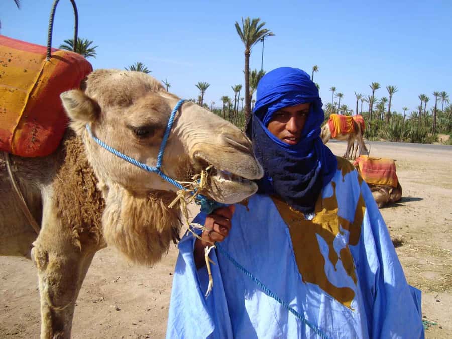 Marrakech Palmeraie: Camel Ride at Sunset - Tea and after-ride moments: what to expect without assuming extras