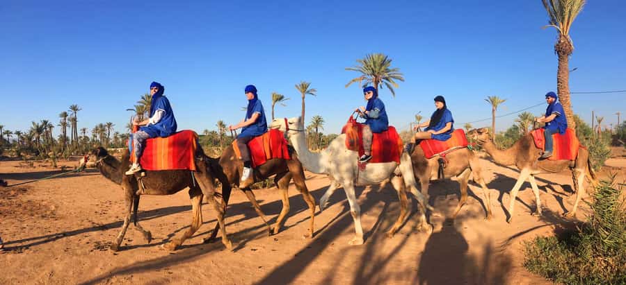 Marrakech Palmeraie: Camel Ride at Sunset - Timing and transfers: the one variable you should plan around